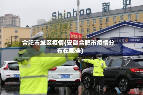 合肥市城区疫情(安徽合肥市疫情分布在哪些)-第1张图片