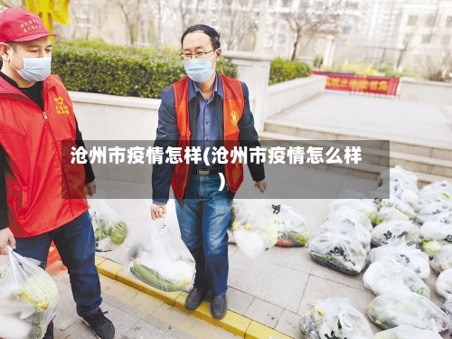 沧州市疫情怎样(沧州市疫情怎么样)-第2张图片